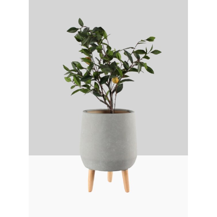 SEAL限定商品 Matte Serene Spaces Grey Living Holder Matte Serene